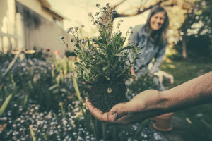 woman gardening