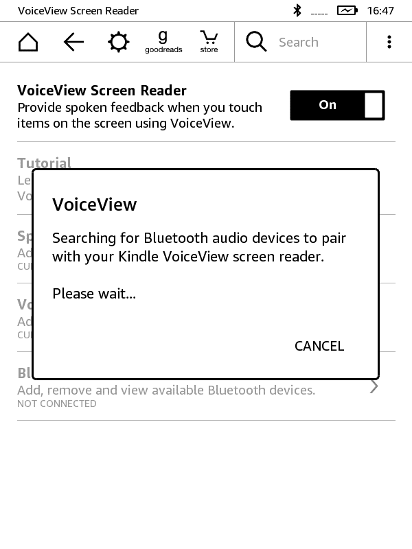 Paring VoiceView Bluetooth