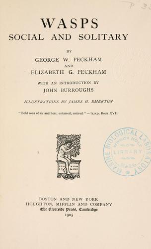 Wasps, Social and Solitary