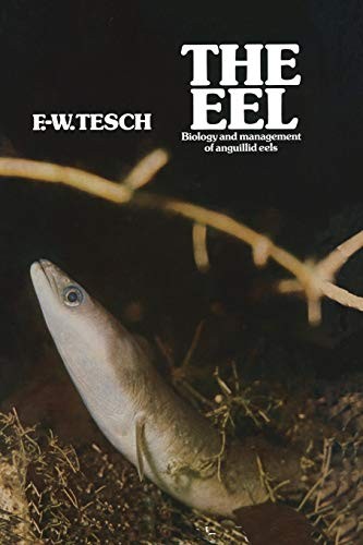 The Eel