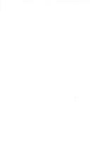 Essays Irish and American