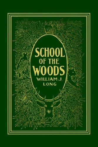 School of The Woods