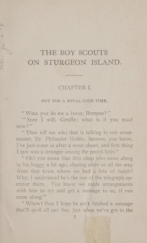 Boy Scouts on Sturgeon Island