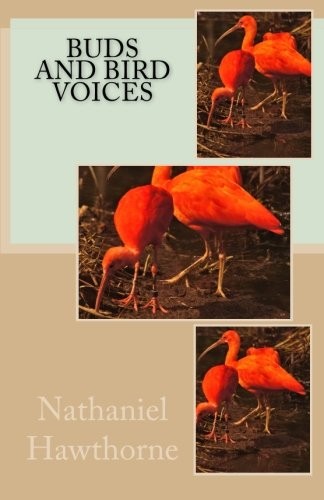 Buds and Bird Voices (From "Mosses from an Old Manse")