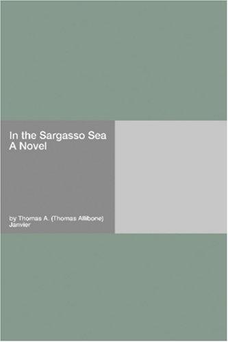 In the Sargasso Sea A Novel