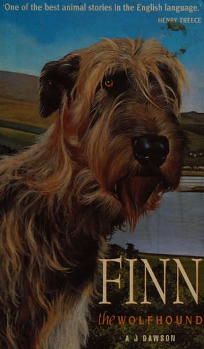 Finn The Wolfhound