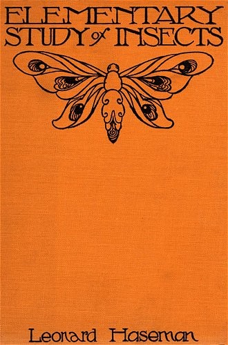 Elementary Study of Insects