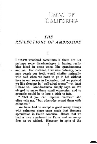 The Reflections of Ambrosine: A Novel