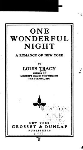 One Wonderful Night: A Romance of New York