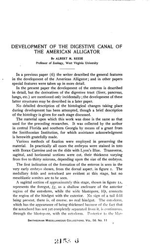 Development of the Digestive Canal of the American Alligator