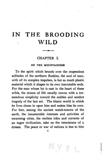 In the Brooding Wild