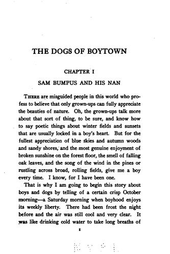 The Dogs of Boytown