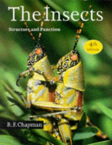 The Insect