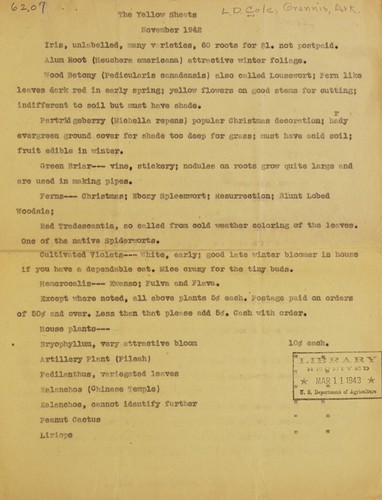 Yellow Sheet (LibriVox NaNoWriMo novel 2007)