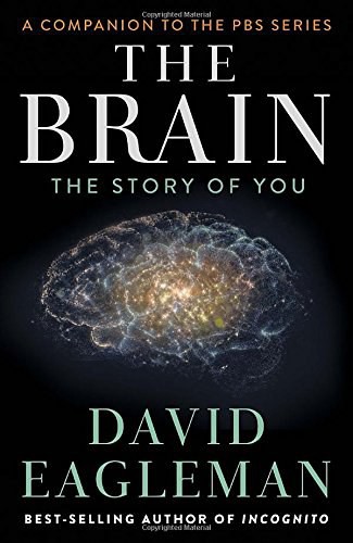 Brain