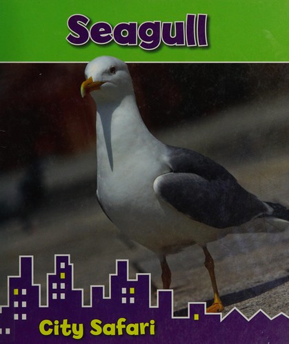 Seagull