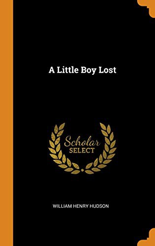 A Little Boy Lost