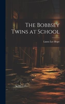 Bobbsey Twins at School
