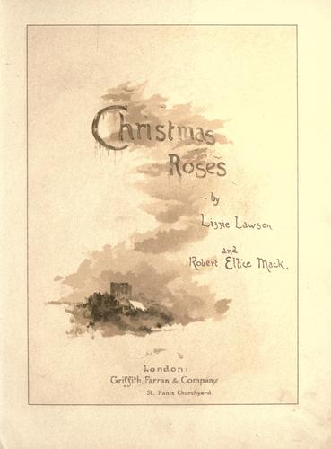 Christmas Roses