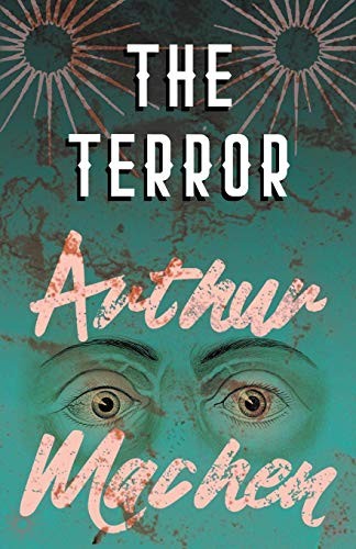 The Terror: A Mystery
